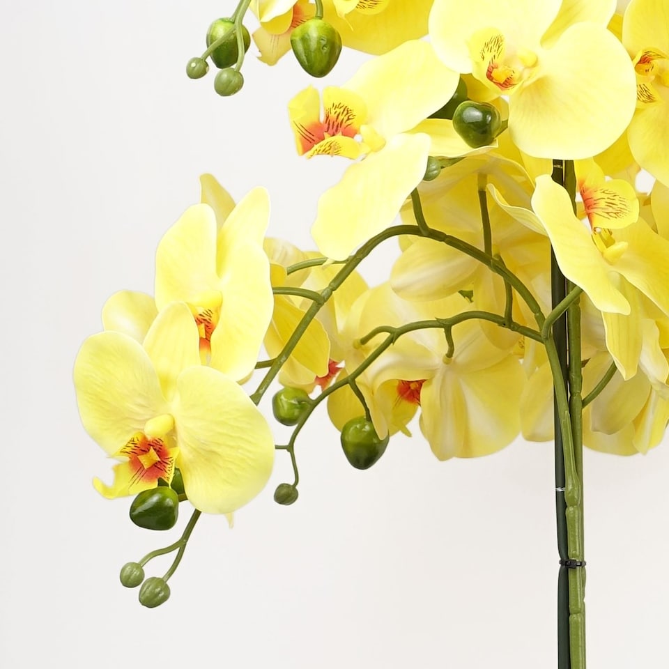 image 1 of Orchid Artificial Yellow Black Ceramic Planter Botanik