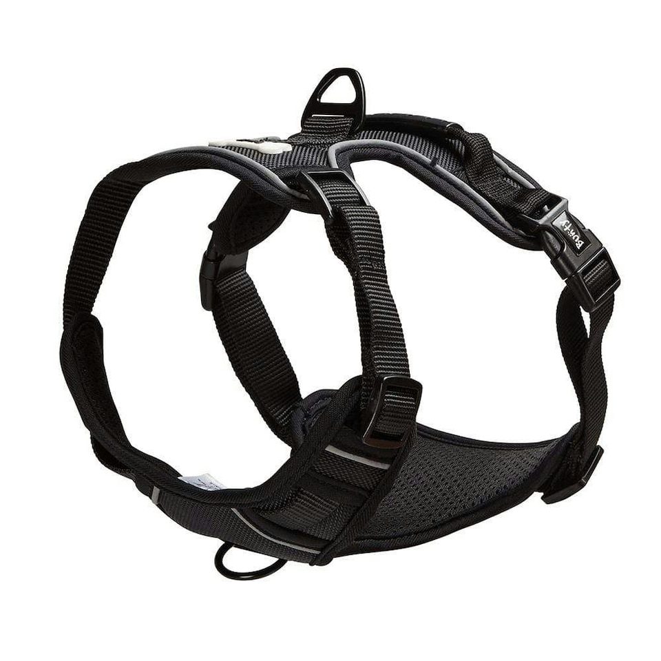 image 1 of Bunty Adventure Harness Pink | XL