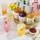 image 5 of Edinburgh Pomegranate & Rose Gin Liqueur