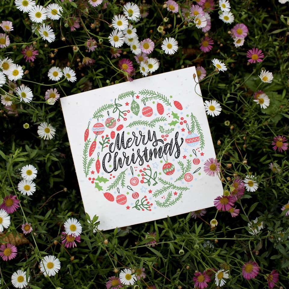 image 1 of Festive Foliage - Plantable Wildflower Seed Christmas Cards - 5 Pack