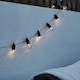 image 3 of ValueLights Festoon 30 Set Black Outdoor String Festoon Globe Lights Warm White