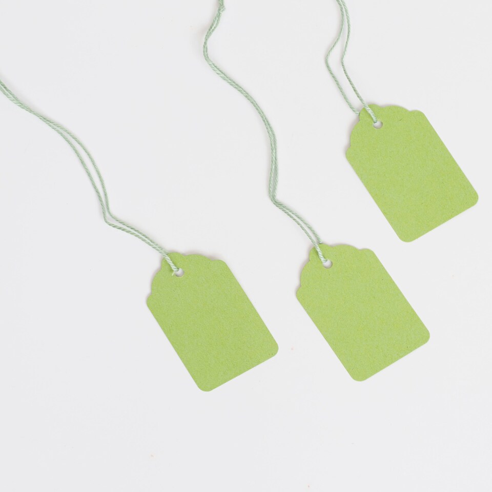 image 1 of Blick Tags Strung, 45mm x 28mm, Rectangular, Green, 1000 Labels
