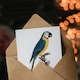 image 3 of Francois Levaillant Art Card Blue and Yellow Macaw Parrot