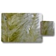 image 1 of autumn pampas grass close up (Placemat & Coaster Set)