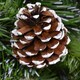image 9 of 60cm Snow King Fir Hanging Christmas Wreath with Pinecones and 200 Tips in Green