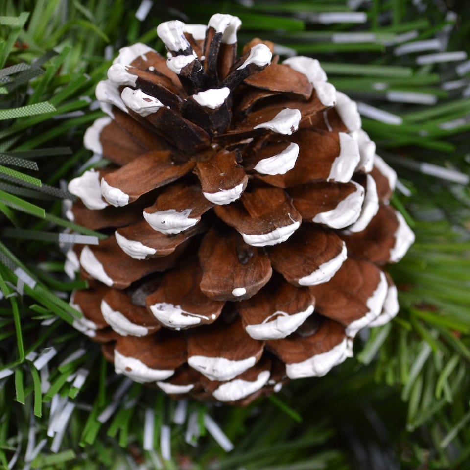 image 1 of 60cm Snow King Fir Hanging Christmas Wreath with Pinecones and 200 Tips in Green