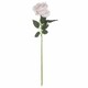 image 1 of Cream Tea Rose Artificial Flower - L6 x W9 x H53 cm - Pink