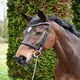 image 2 of Rhinegold Veneto Show Bridle Clincher Browband Black | Size: Full
Colour: Black
