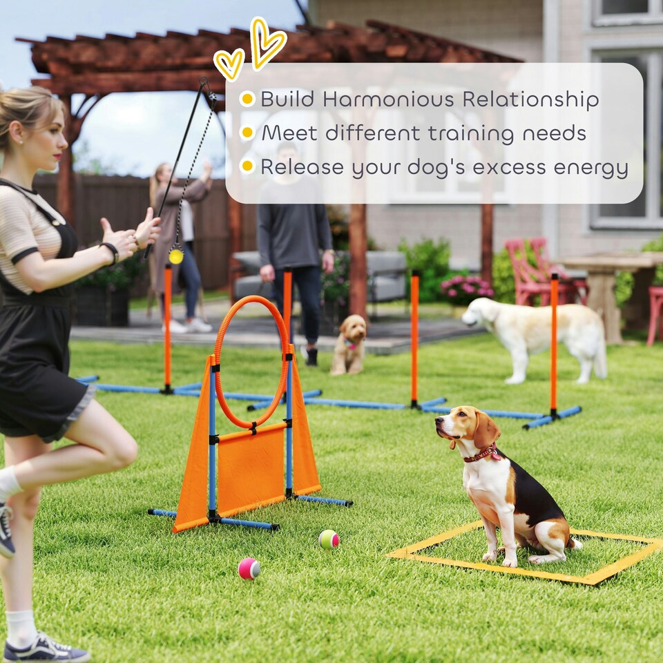 image 1 of PawHut Seven-Piece Dog Agility Equipment, Obstacle Training Course Kit