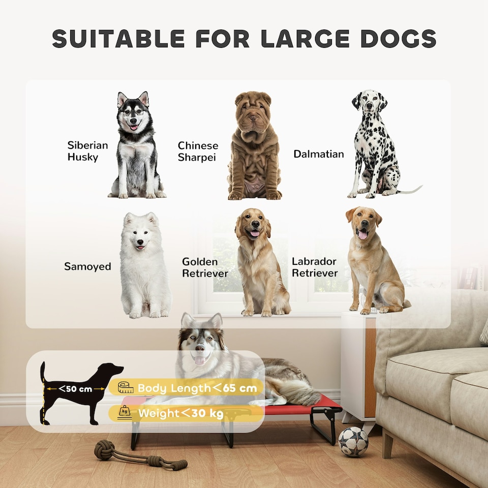 image 1 of PawHut Raised Dog Bed with Breathable Mesh for Large Dogs | Red | L