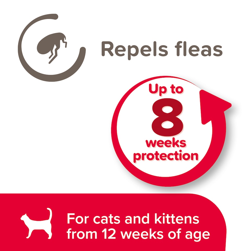 image 1 of Beaphar Cat Flea Collar - Sparkle 1 Pack