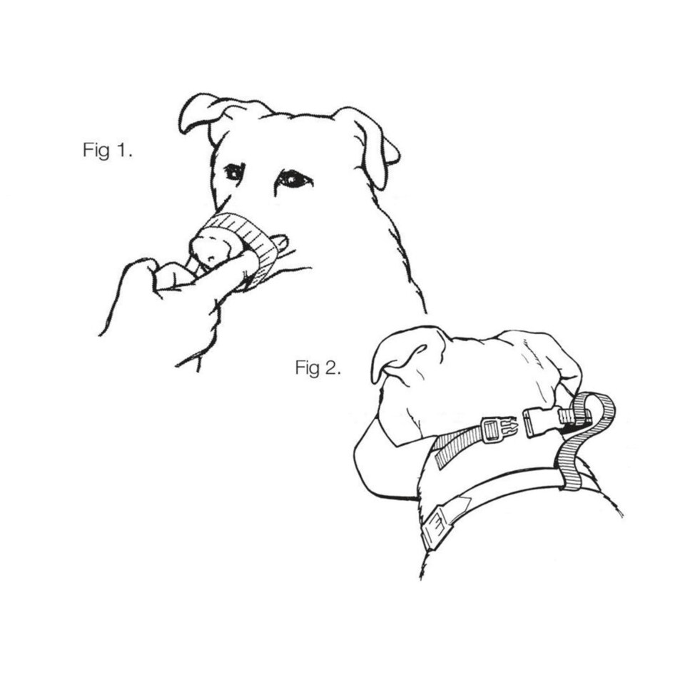 image 1 of Mikki Nylon Dog Muzzle - Size 10