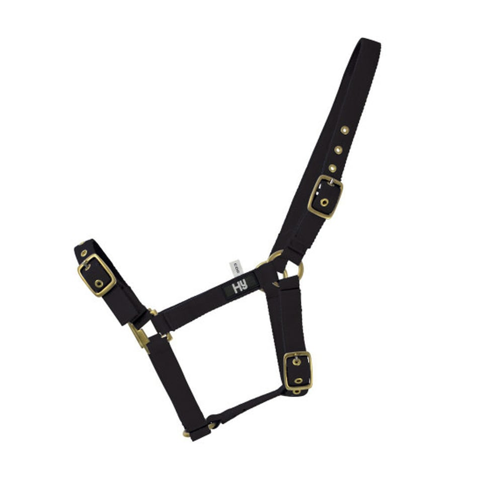 Hy Holly Fully Adjustable Head Collar - Black - Full