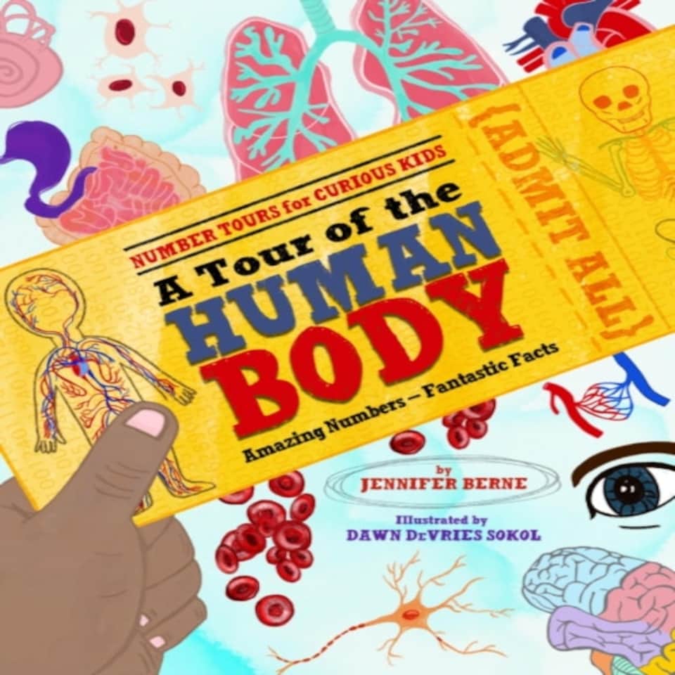 Tour Of The Human Body