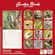image 2 of Garden Birds 2026 Calendar | Square Wall Calendar | Bird Gift | Plastic Free Packaging | by Avonside Publishing