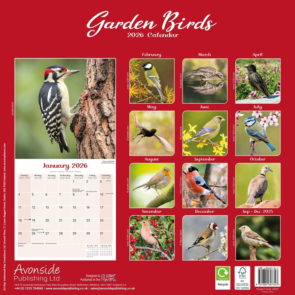 image 1 of Garden Birds 2026 Calendar | Square Wall Calendar | Bird Gift | Plastic Free Packaging | by Avonside Publishing