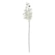 image 1 of Hill Interiors Butterfly Orchid Artificial Flower - White - 52cm x 9cm x 9cm