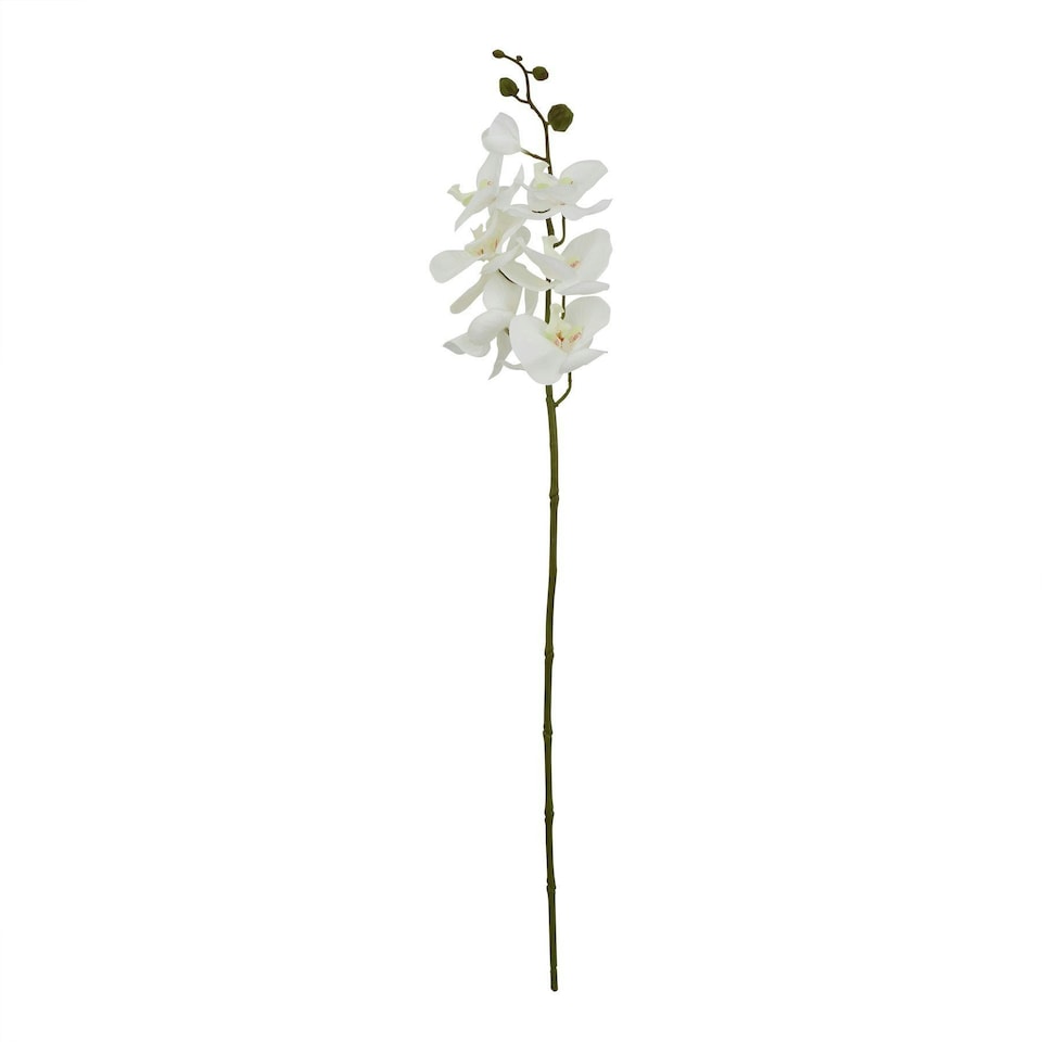 image 1 of Hill Interiors Butterfly Orchid Artificial Flower - White - 52cm x 9cm x 9cm