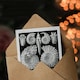 image 3 of Ernst Haeckel Art Card Ammonite Fossil Cephalopods