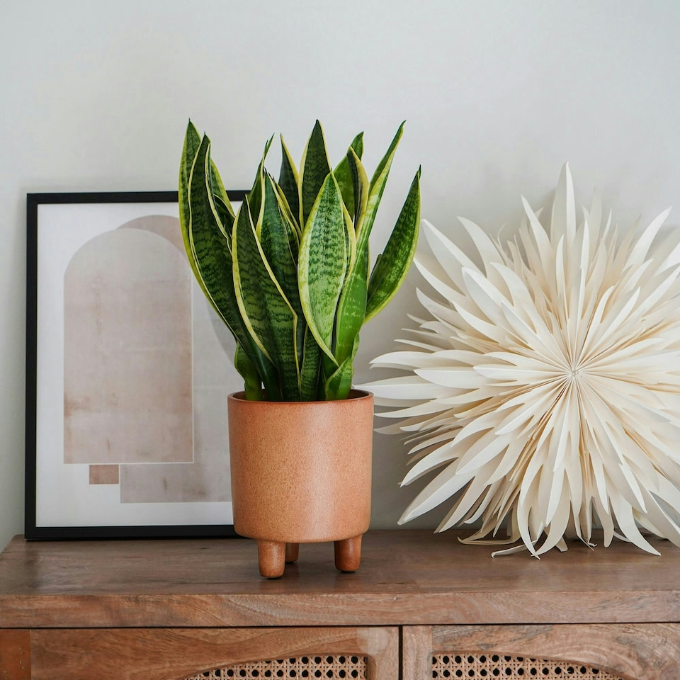 image 1 of Pisa Planter Orange