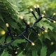 image 6 of Cluster Lights Black Rubber IP65 Warm White 35M