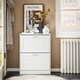image 2 of SoBuy Narrow 2 Flip-Door Shoe Cabinet, White, 23.6x9.8x31.5 inches, 12.22 kg - FSR137-W