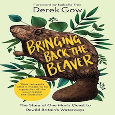 Bringing Back The Beaver