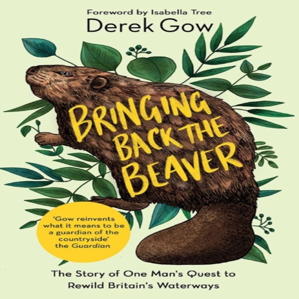 Bringing Back The Beaver