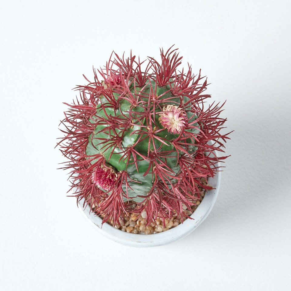 image 1 of Homescapes Denmoza Artificial Cactus with Flowers in Patterned Pot, 25 cm Tall