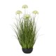 image 1 of Large Allium Plant in Pot - Plastic - L22 x W22 x H120 cm - White