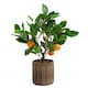image 7 of OHS Home Decor Artificial Orange Tree In Pot Plant, 40cm - Orange