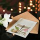 image 4 of Model Book of Calligraphy Art Card Dragonfly Pear and Carnation