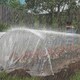 image 7 of Outsunny 6 X 10m UV Resistant Waterproof Plastic Polytunnel Cover, Clear