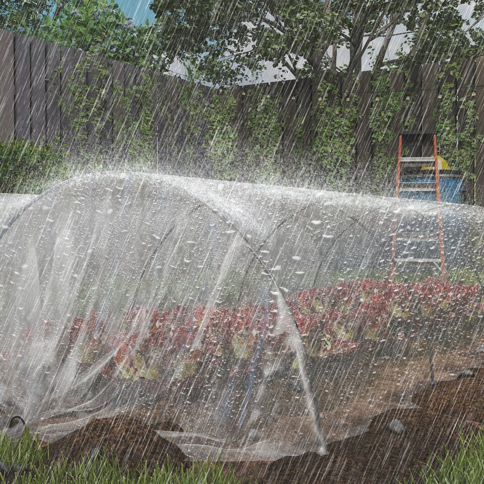 image 1 of Outsunny 6 X 10m UV Resistant Waterproof Plastic Polytunnel Cover, Clear