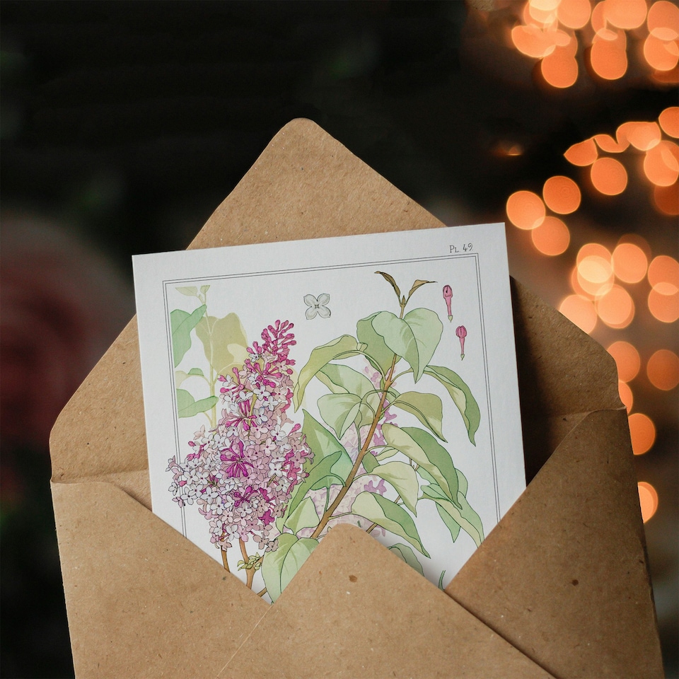 image 1 of Maurice Pillard Verneuil Art Card Lilac Flower Plant