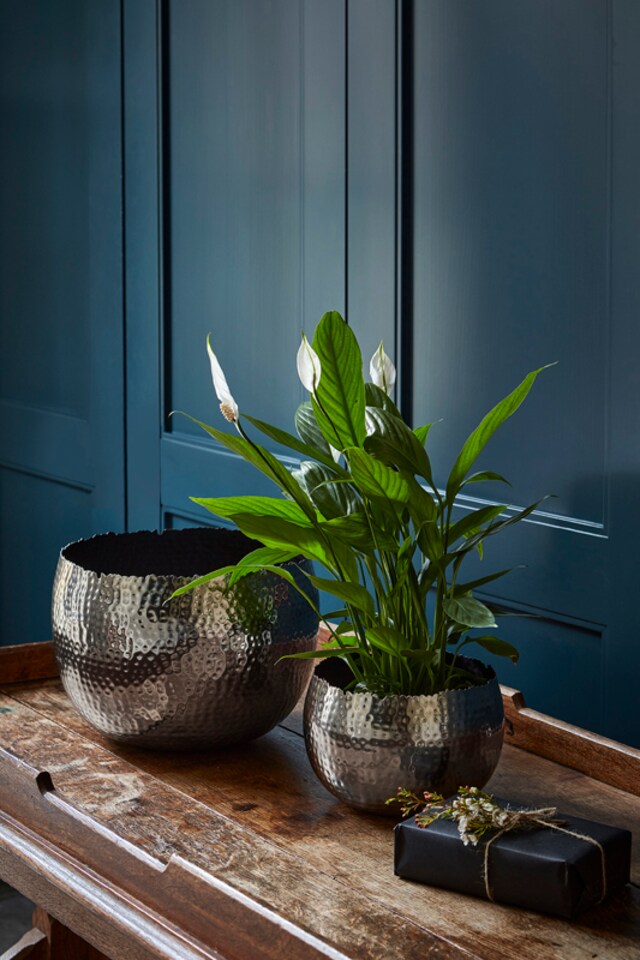 image 1 of Hammered Bowl Planter - Iron - L19 x W19 x H14 cm - Nickel | Brown