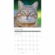 image 2 of Just Tabby Cats Calendar 2026, Wall Calendars, Month To View, Cats, Gift