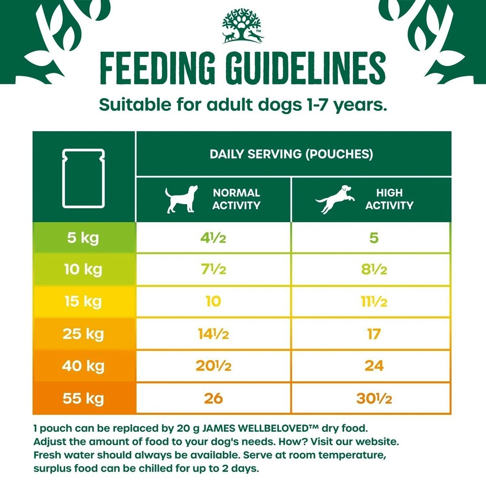 image 1 of James Wellbeloved Adult Wet Dog Food  Pouches Turkey & Rice in Gravy 48 x 90g
