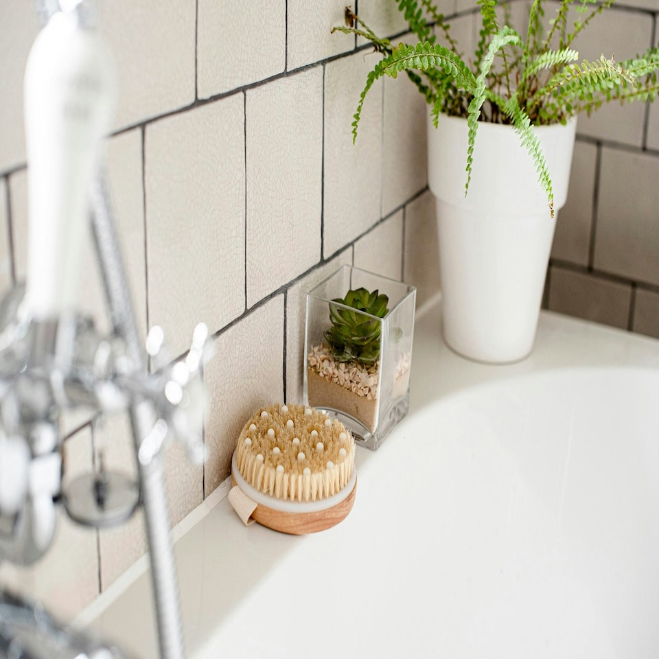image 1 of Lymphatic Detox Brush