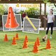 image 4 of PawHut Dog Agility Equipment Set, Four-Piece Adjustable Height Jumping