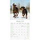 image 3 of Doberman (US) 2026 Calendar | Square Wall Calendar | Dog Breed Gift | Plastic Free Packaging | by Avonside Publishing