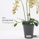 image 5 of Homescapes White Orchid 56 cm Phalaenopsis in Ceramic Pot
