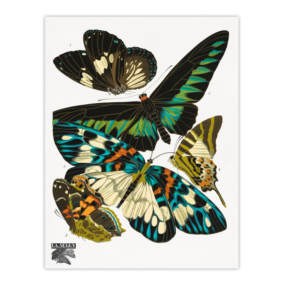 image 1 of Eugene Seguy Framed Wall Art Print Vintage Butterflies Green Blue Home Décor
