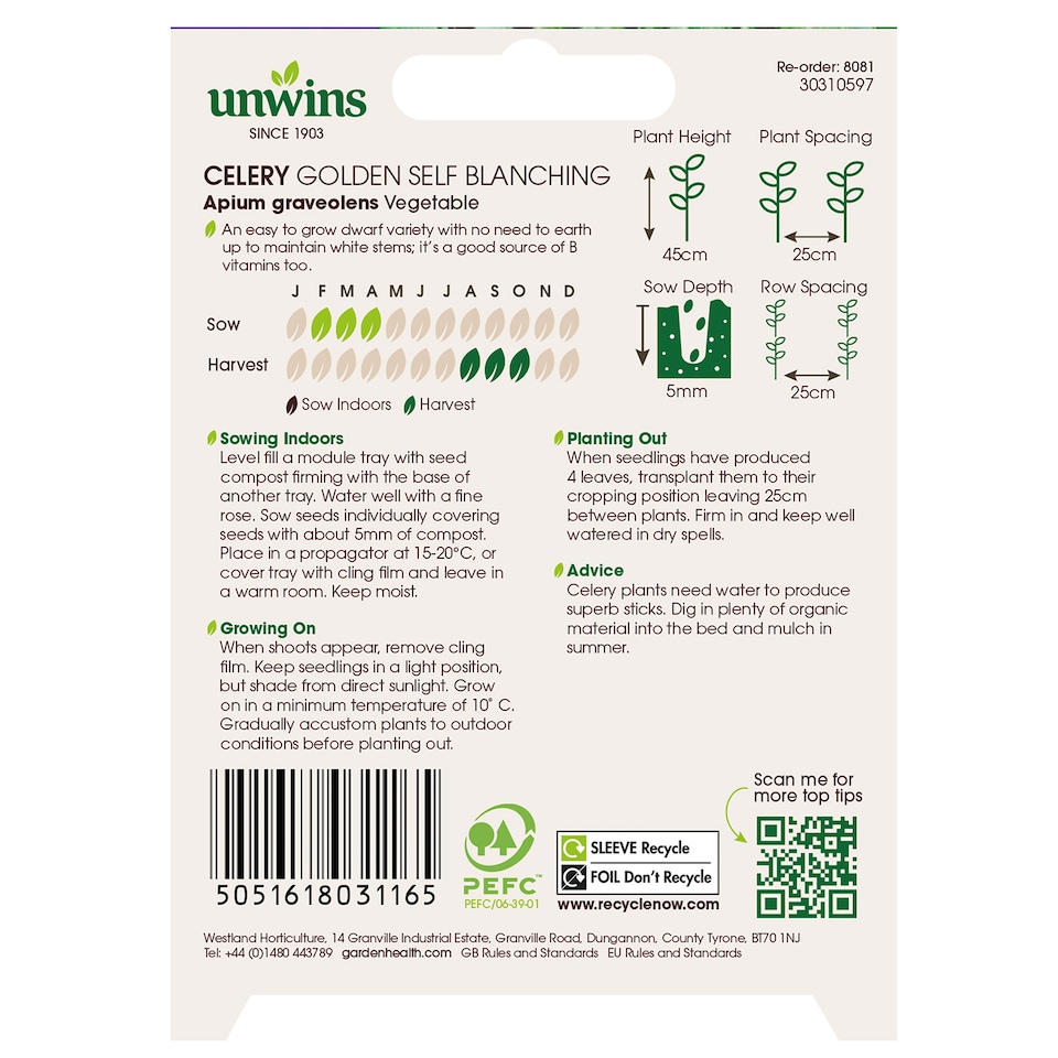 image 1 of Celery Golden Self Blanching | Multi | Green