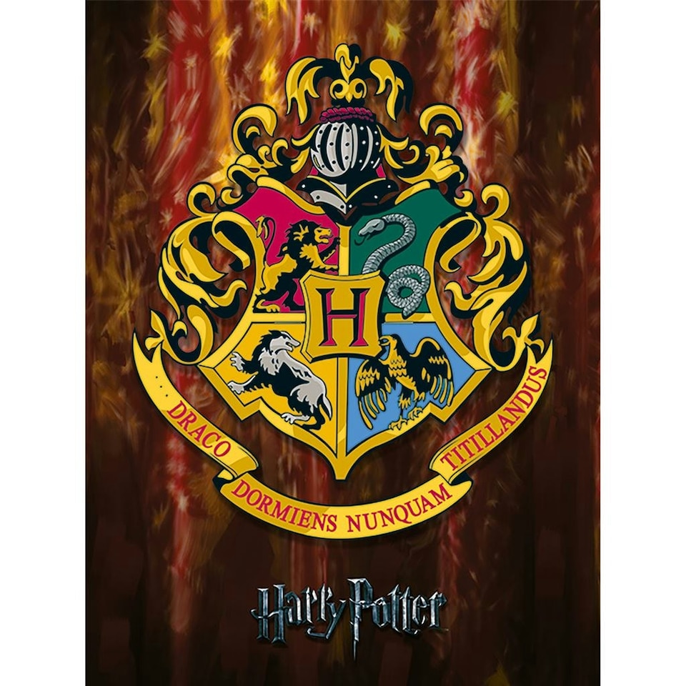Harry Potter (Hogwarts Crest) 60x80x4cm Stretched Canvas Print