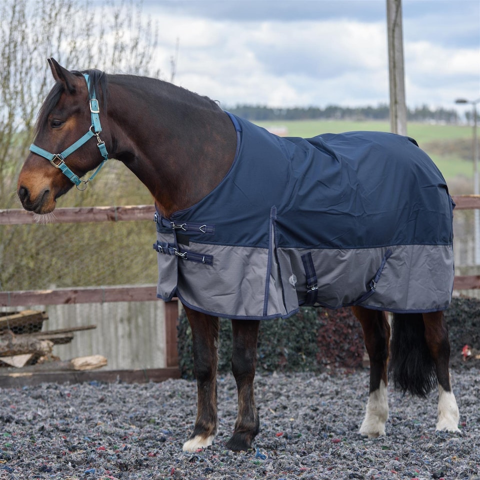 image 1 of eQuitack 600D Waterproof Horse Turnout Rug 0g No Fill Regular Neck Navy/Grey 6'6''