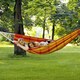image 3 of Barbados Papaya Hammock