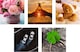 image 4 of Assorted Photographic Multipack of 20 in 20 Designs Gallery Blank Cards