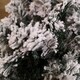 image 7 of 7ft (2.1m) Premier Spiral Snow Flocked Christmas Tree