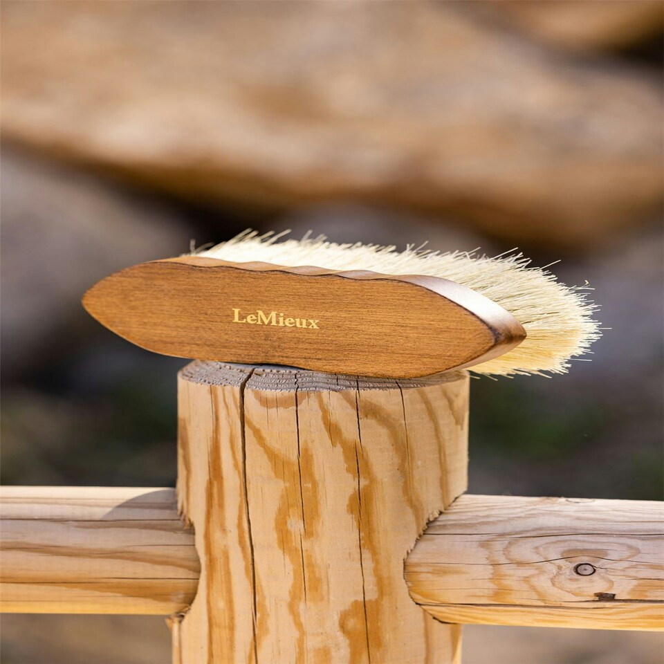 image 1 of LeMieux Artisan Deep Clean Dandy Brush Brown | One Size